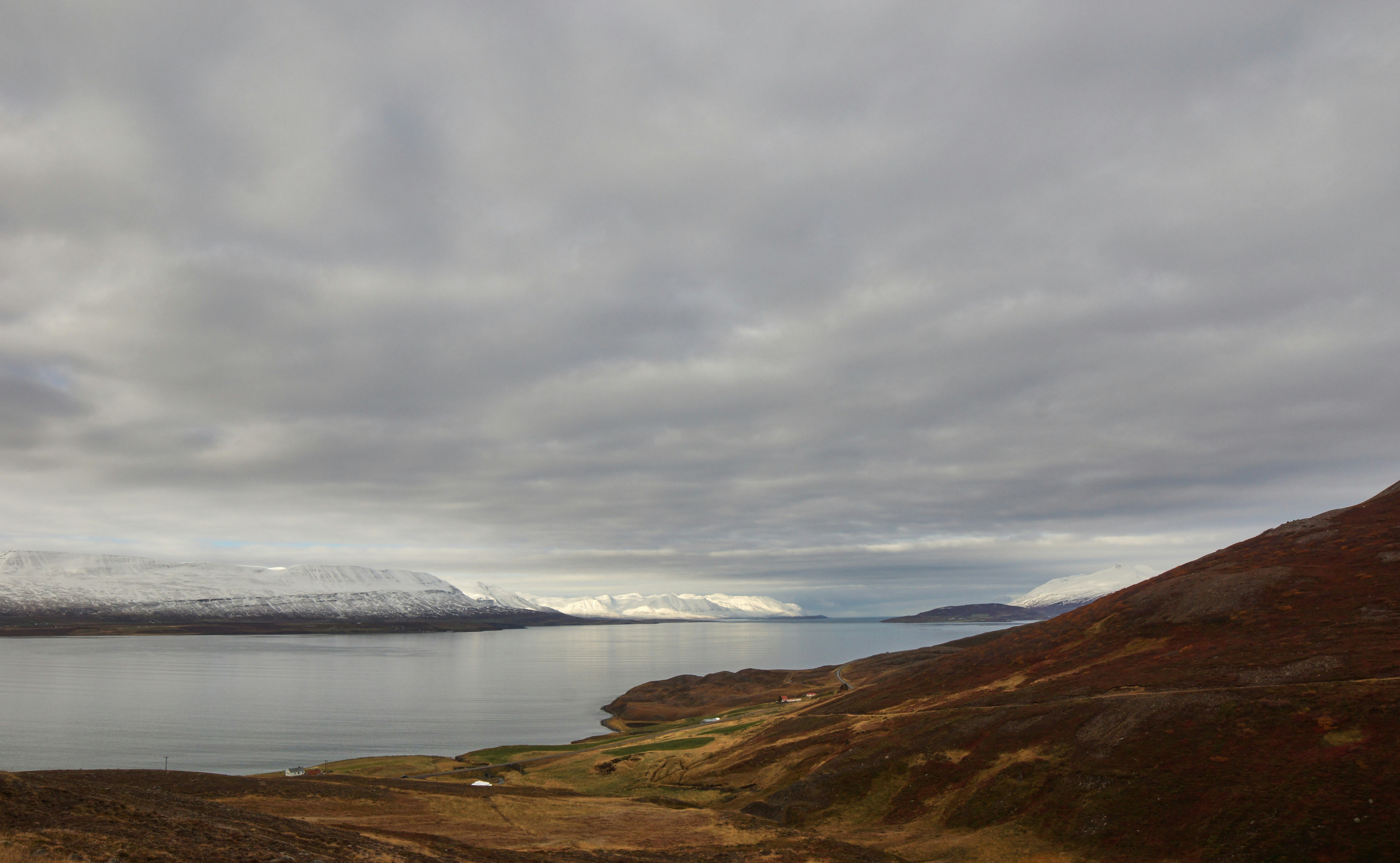 Photo by wolfgang_hasselmann