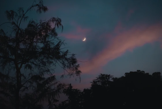 Un sereno cielo notturno illuminato dalla luna, con stelle che brillano delicatamente e la sagoma di