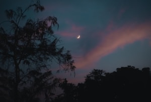 A serene night sky features a crescent moon nestled among streaks of wispy clouds. Silhouetted trees stand in the foreground, creating a peaceful and tranquil scene.