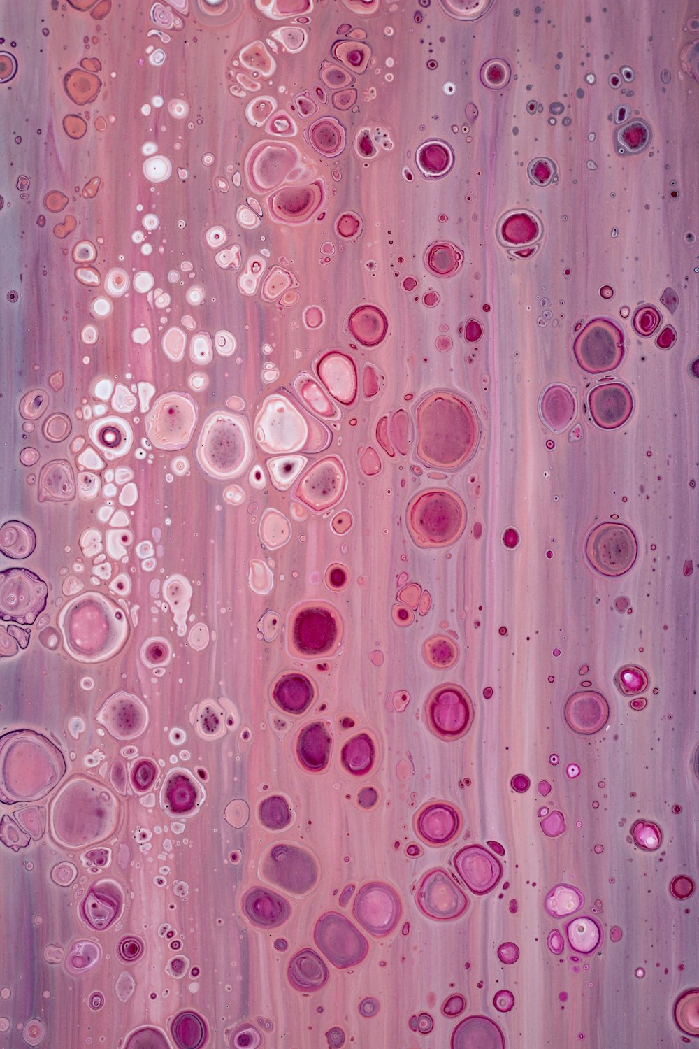 a close up of a pink and purple background