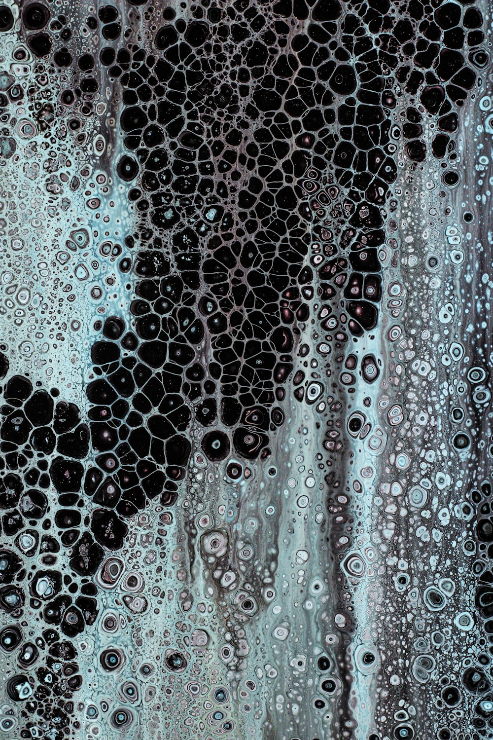 a close up of water droplets on a window