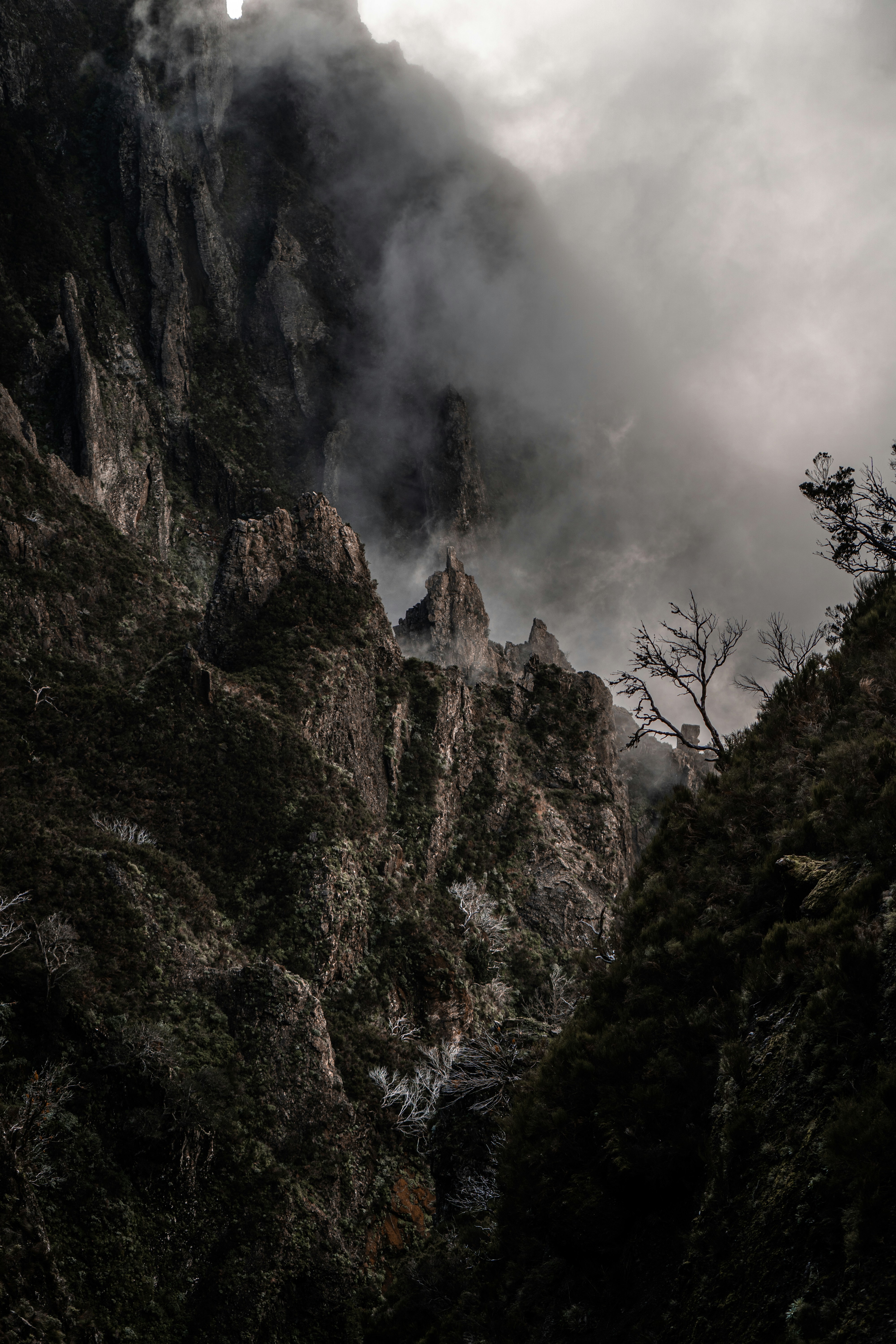 Photo by artemioz
