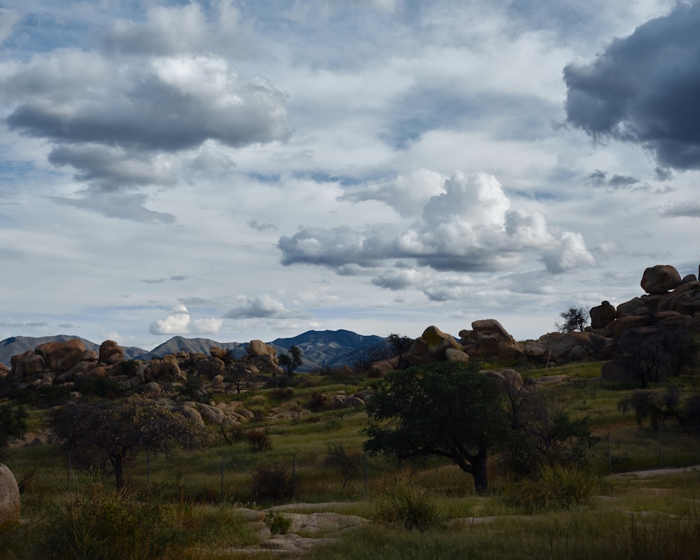 a field with rocks and trees under a cloudy sky