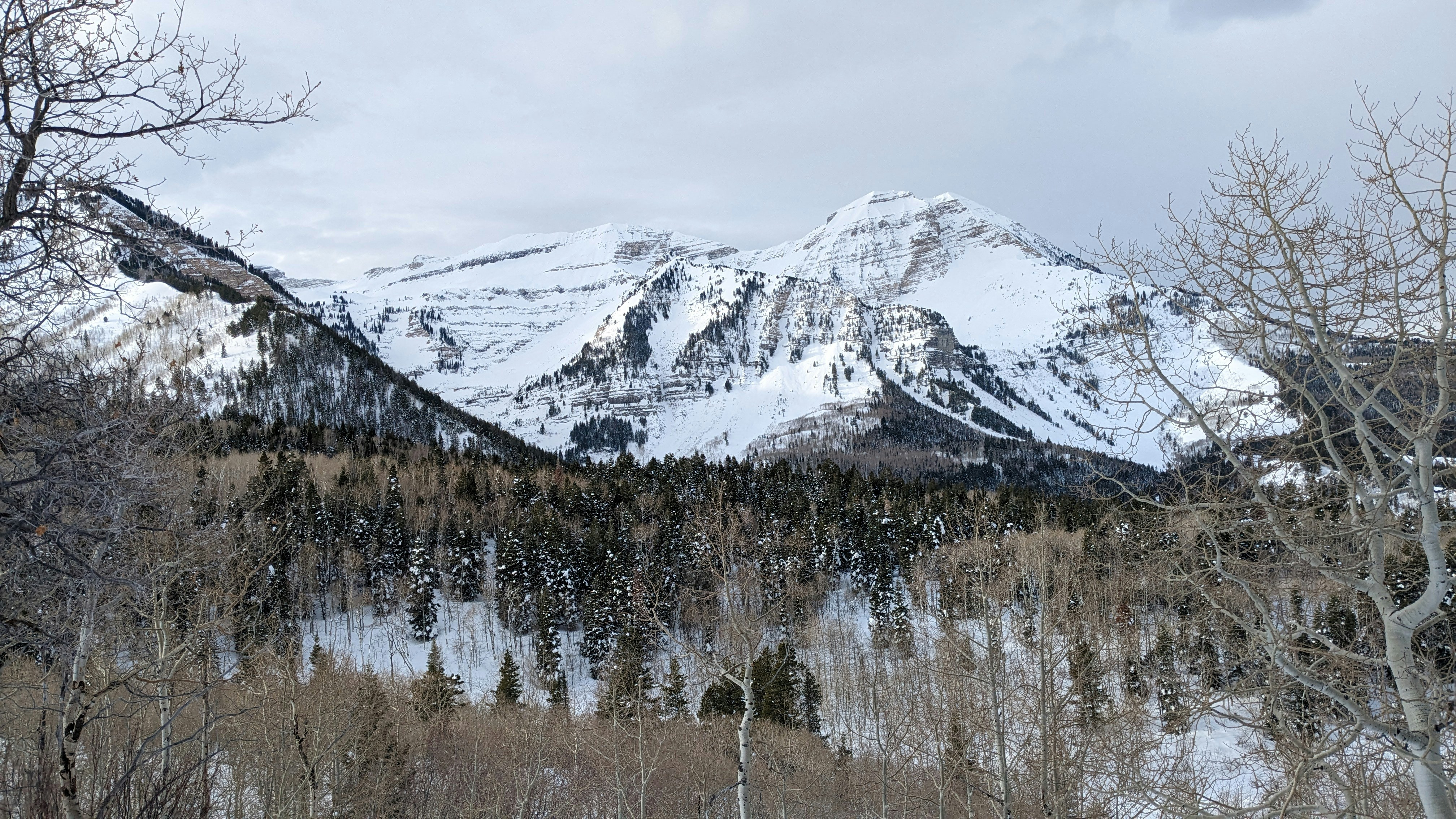 Photo by kevinzollinger