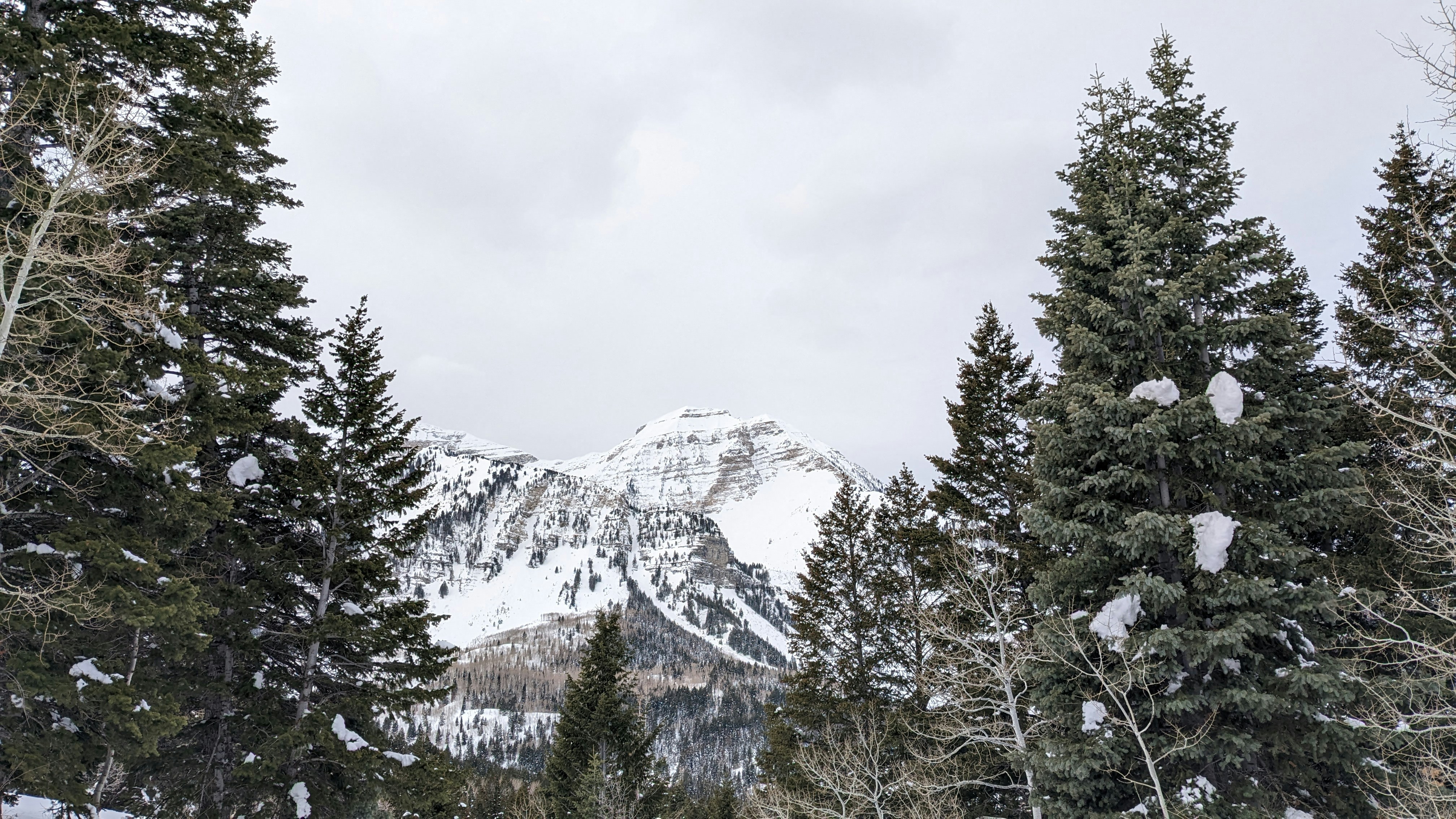 Photo by kevinzollinger