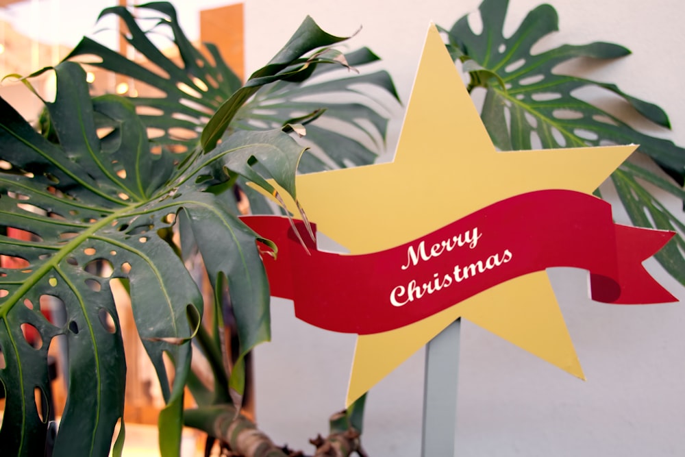 a merry christmas sign with a star on it
