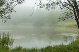Morning mist rising over a quiet lake surrounded by lush greenery.