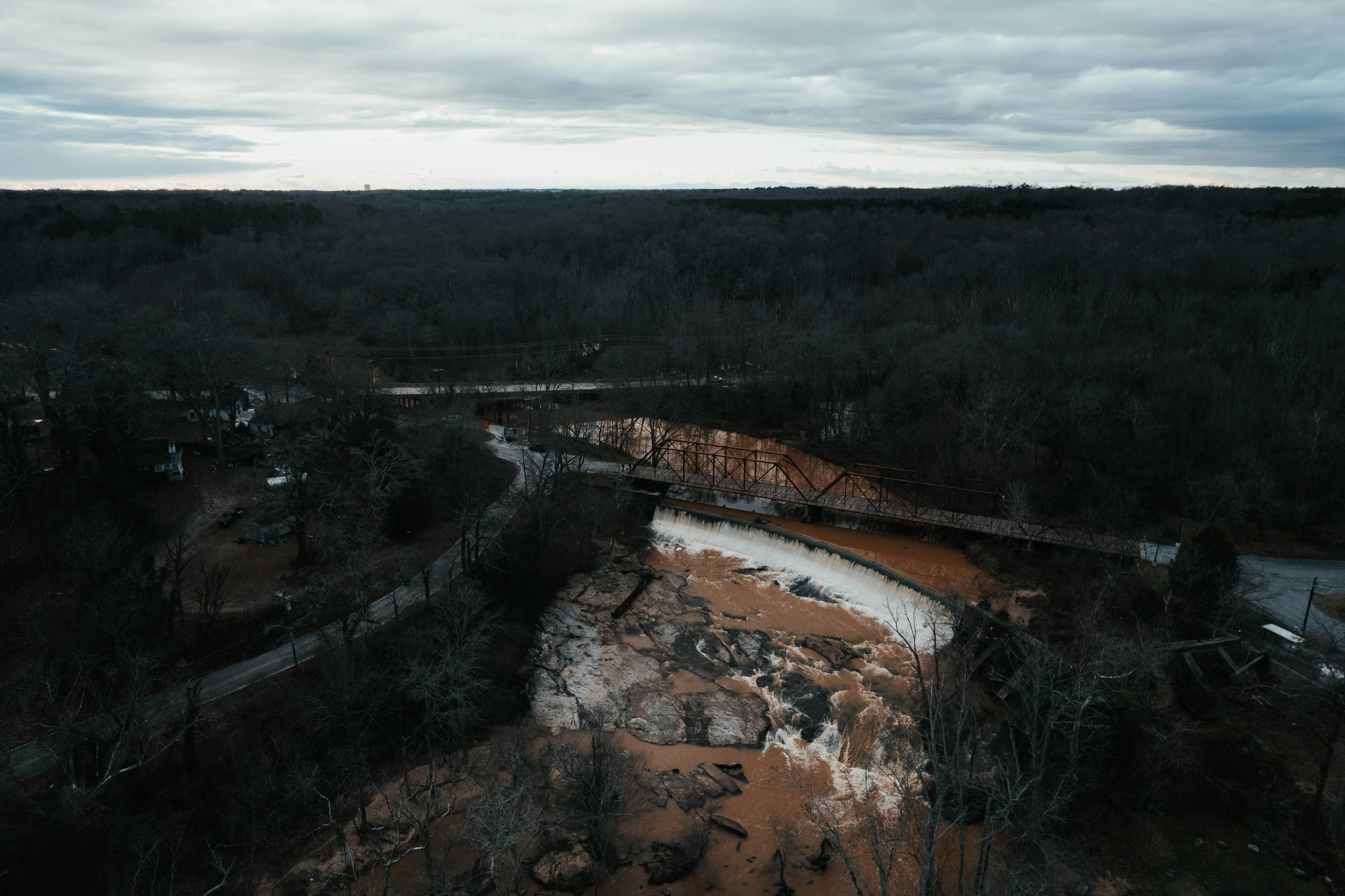 Ein Fluss, der durch einen Wald voller Bäume fließt