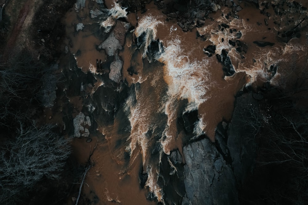 Una vista aérea de un río fangoso en el bosque