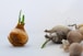a bunch of vegetables that are on a table
