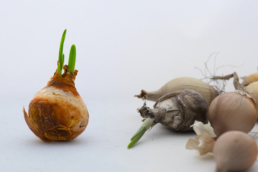 a bunch of vegetables that are on a table