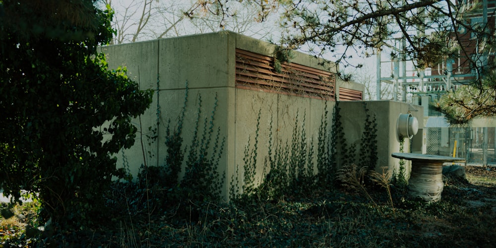 a concrete wall with vines growing on it