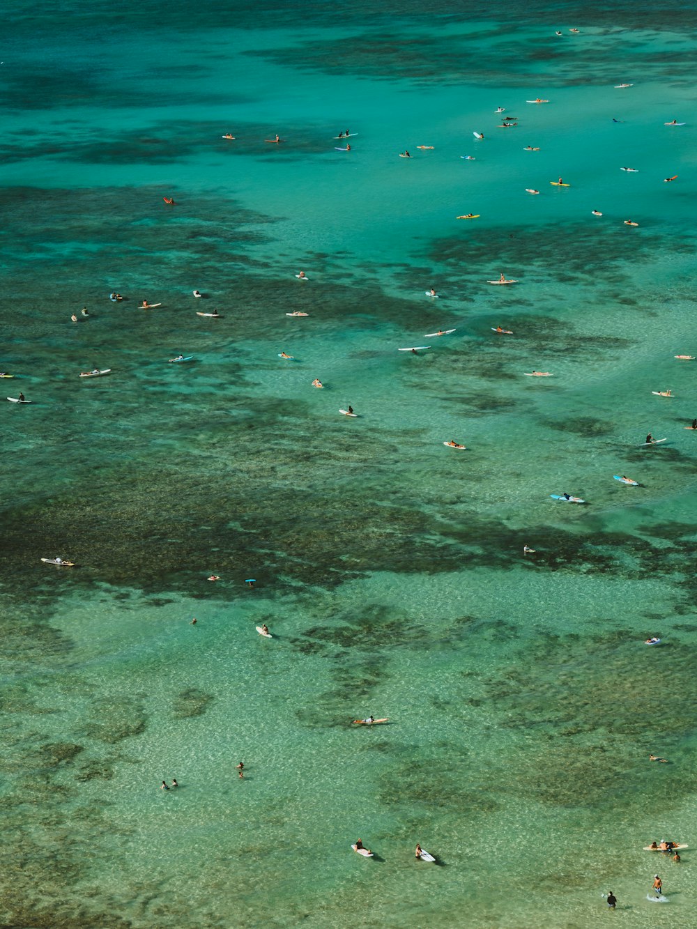 a group of people swimming in the ocean