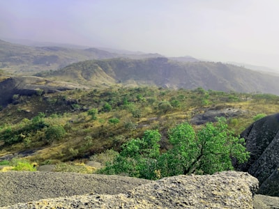 Rolling hills stretch into the distance under a hazy sky. The landscape is covered with sparse vegetation, and patches of greenery highlight the terrain. Large rock formations are visible in the foreground, adding texture to the scenery.