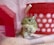 A small rodent is standing on its hind legs against a background with a red plastic container adorned with white heart patterns and a textured pink fabric. There is also a red toy house structure on the left side.