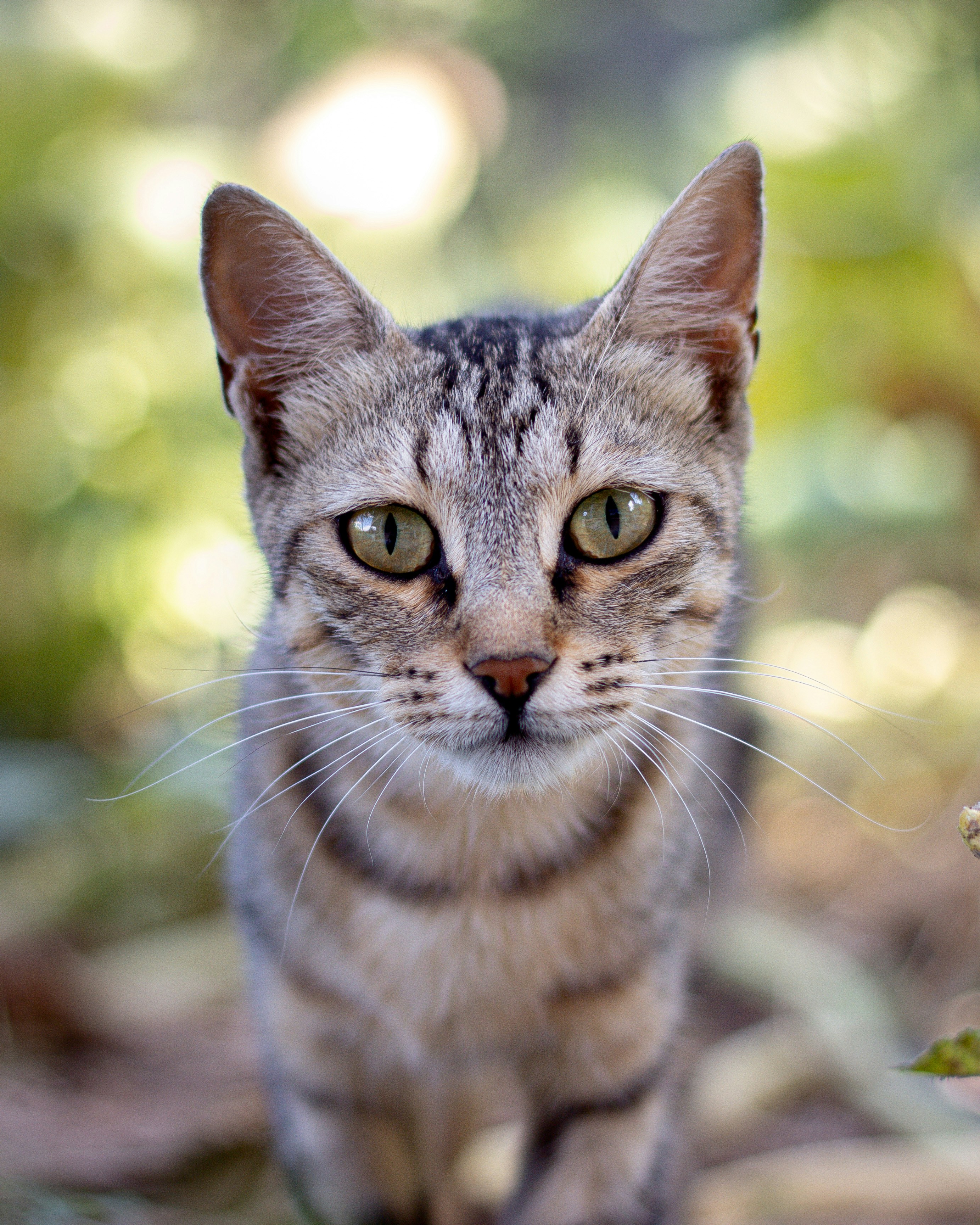 Photo by ahmethakansolak