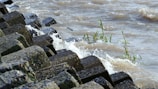 A series of large, textured concrete blocks are arranged along the edge of a body of water, with small waves crashing against them. Some green plants are emerging between the blocks, and the water appears choppy with a brownish hue.
