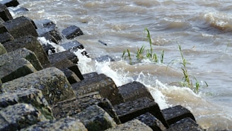 A series of large, textured concrete blocks are arranged along the edge of a body of water, with small waves crashing against them. Some green plants are emerging between the blocks, and the water appears choppy with a brownish hue.