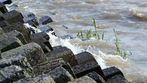 A series of large, textured concrete blocks are arranged along the edge of a body of water, with small waves crashing against them. Some green plants are emerging between the blocks, and the water appears choppy with a brownish hue.