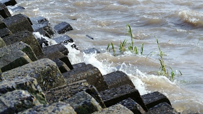 A series of large, textured concrete blocks are arranged along the edge of a body of water, with small waves crashing against them. Some green plants are emerging between the blocks, and the water appears choppy with a brownish hue.