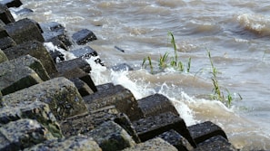 A series of large, textured concrete blocks are arranged along the edge of a body of water, with small waves crashing against them. Some green plants are emerging between the blocks, and the water appears choppy with a brownish hue.