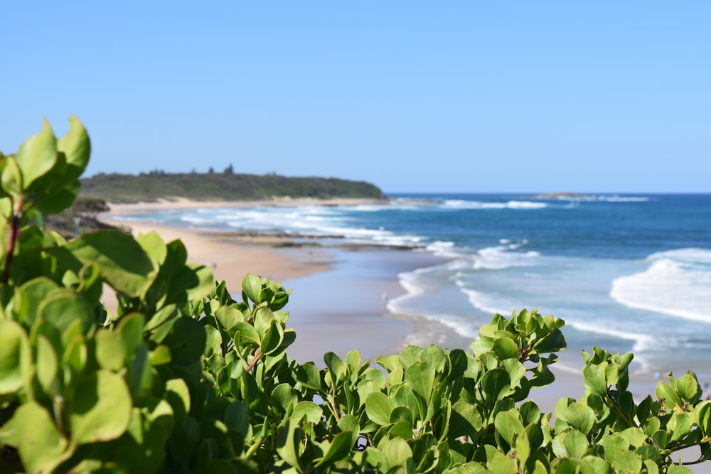 a view of a beach and ocean from the top of a hill