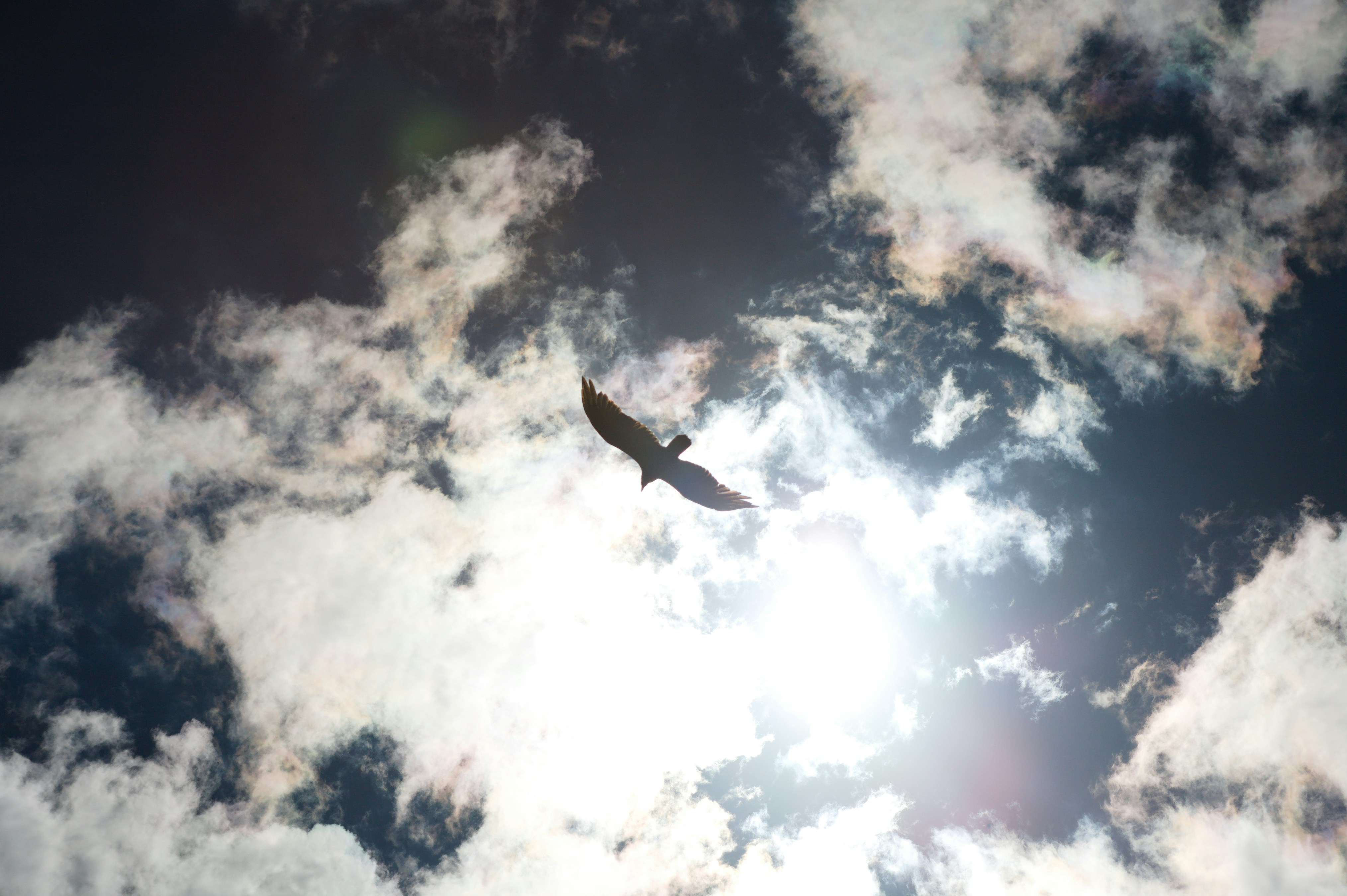 Photo by jothamsutharson