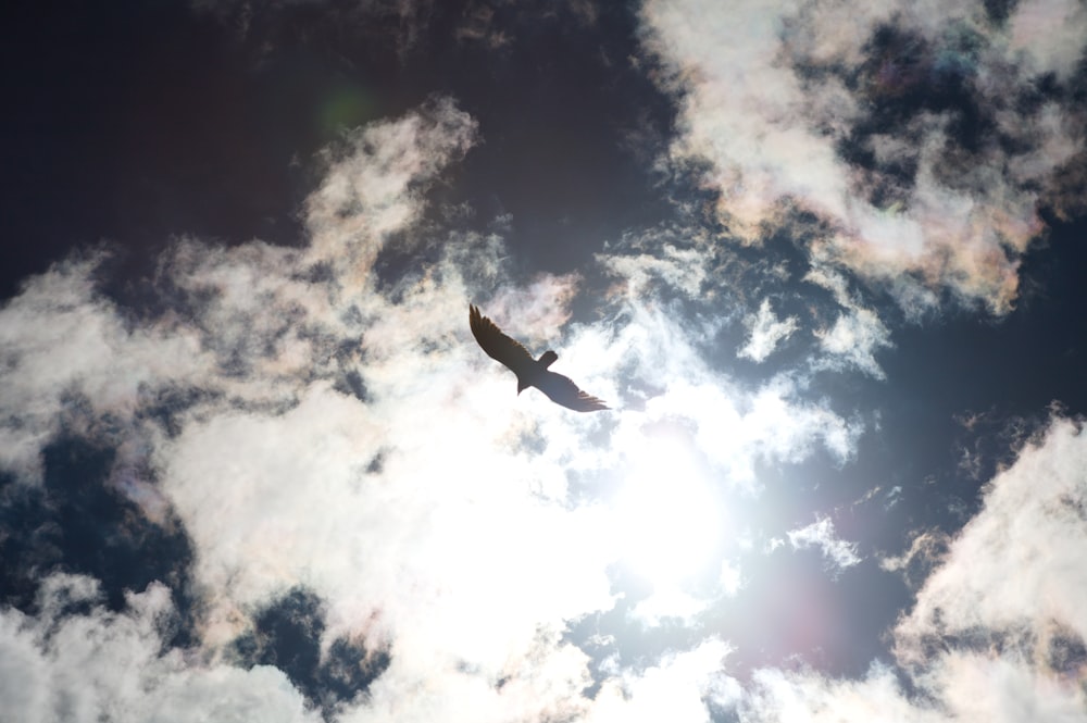 a bird flying through a cloudy blue sky