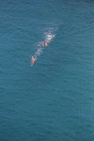 Close-up of swimmer's hands cutting through clear blue water.