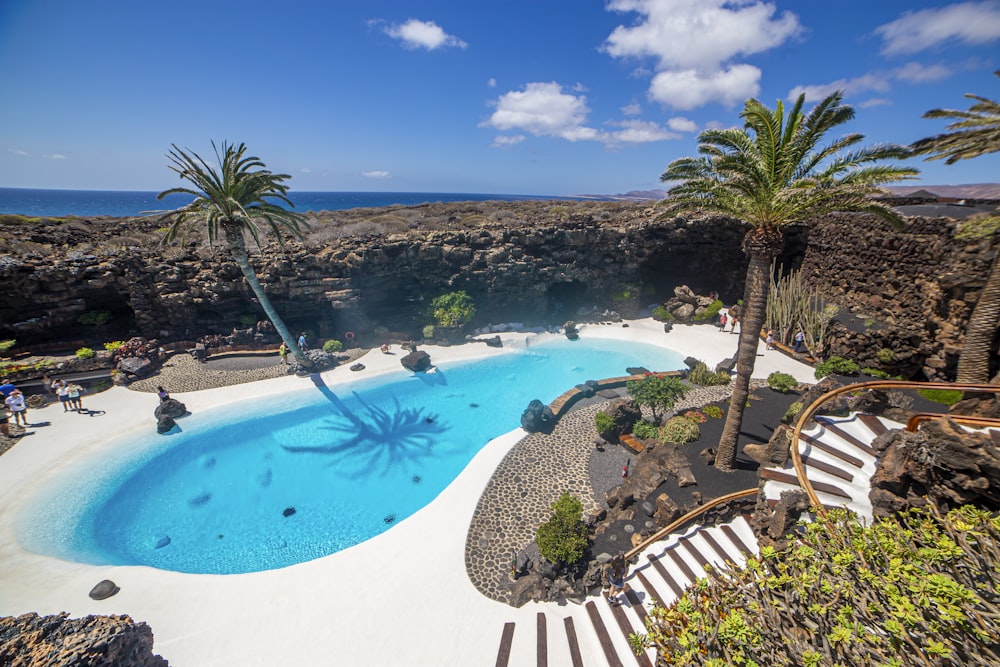 a large swimming pool surrounded by palm trees