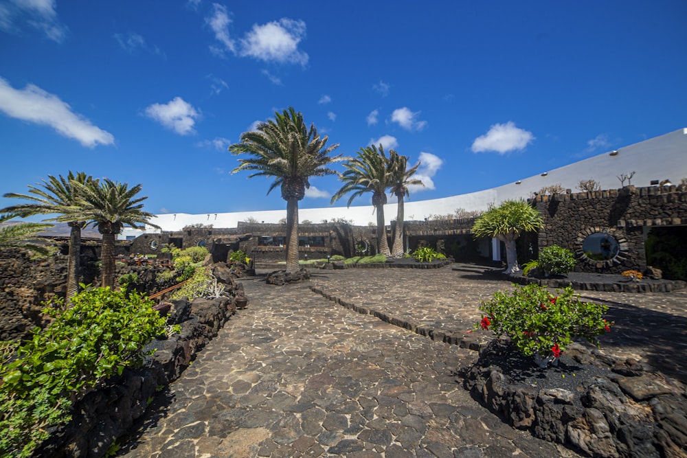 a stone walkway with palm trees and flowers