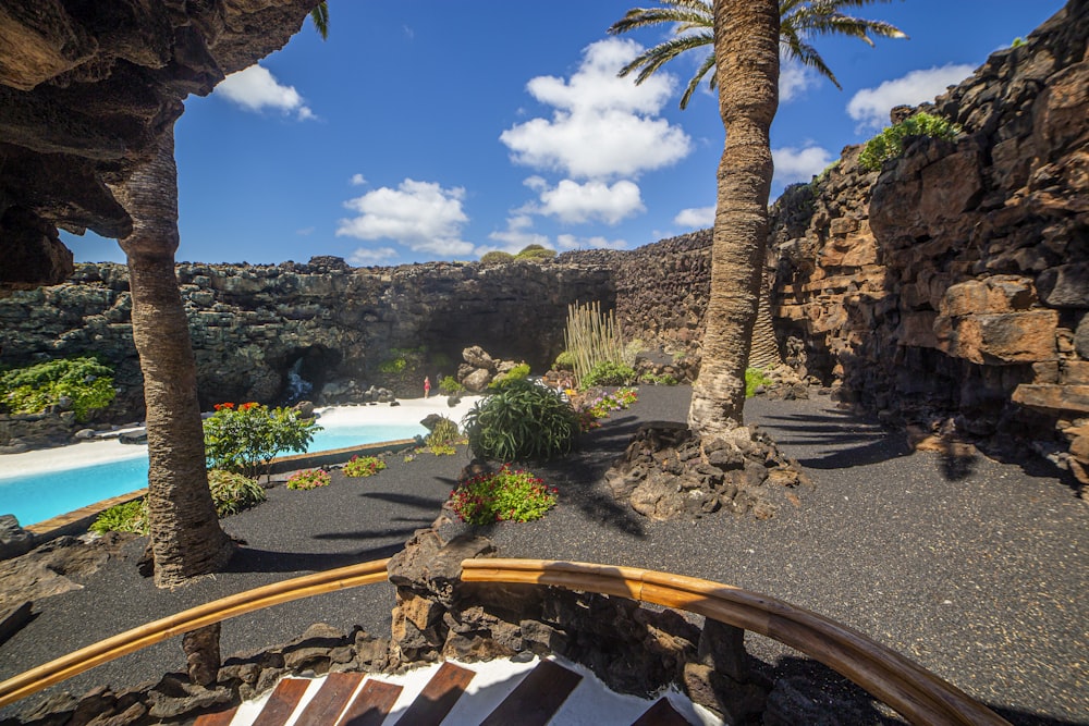 a pool surrounded by palm trees next to a cliff