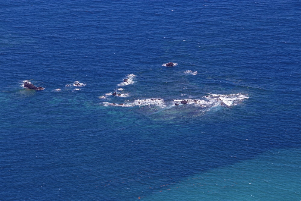 a group of people swimming in the ocean