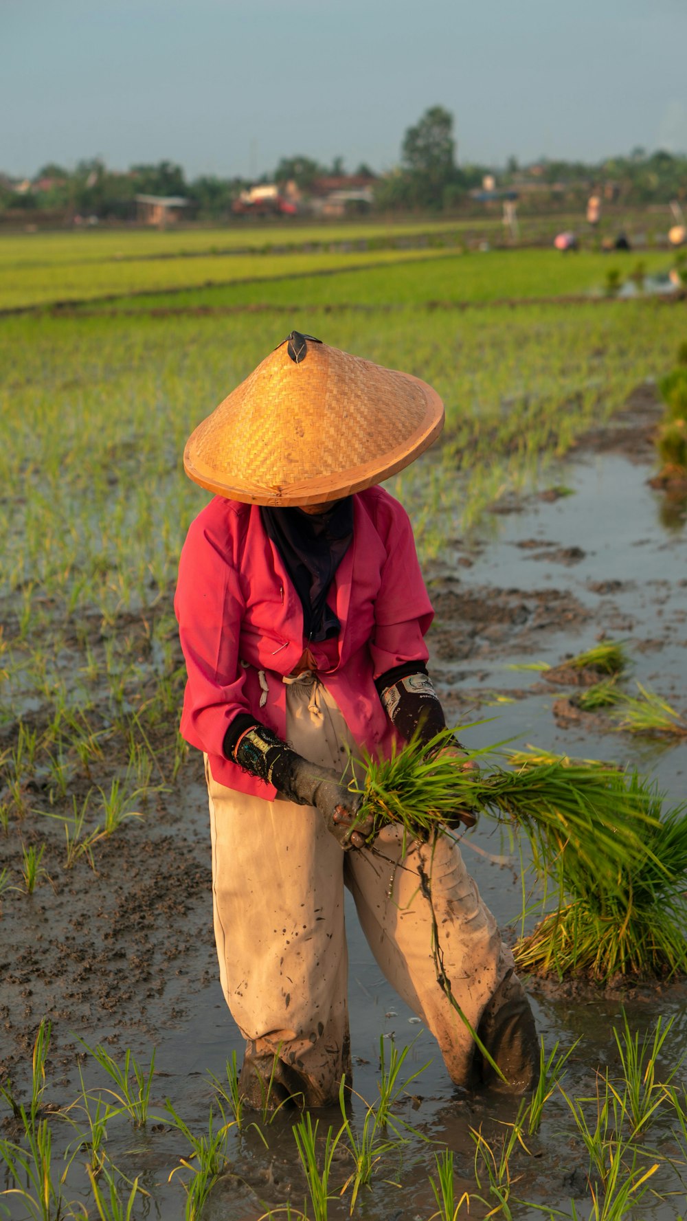 a person in a field with a straw hat