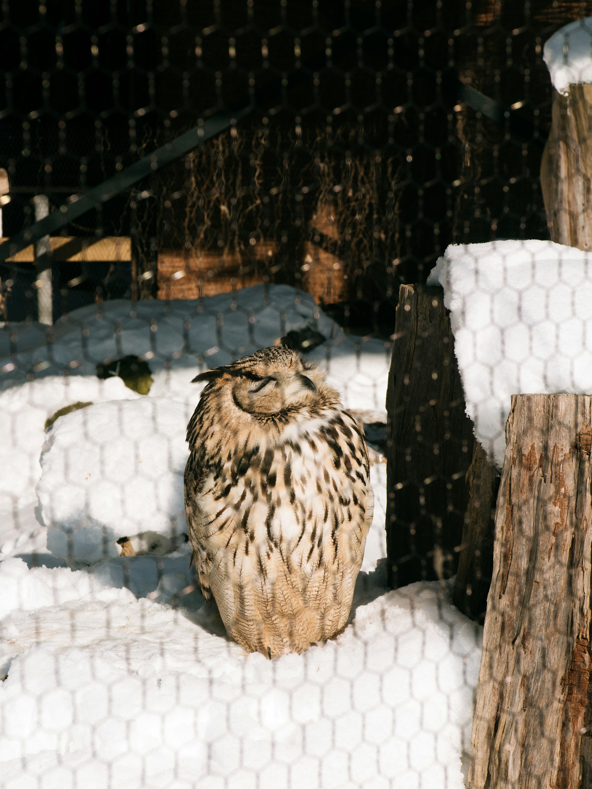 Discover Asahikawa: Culture, Customs & Festivals