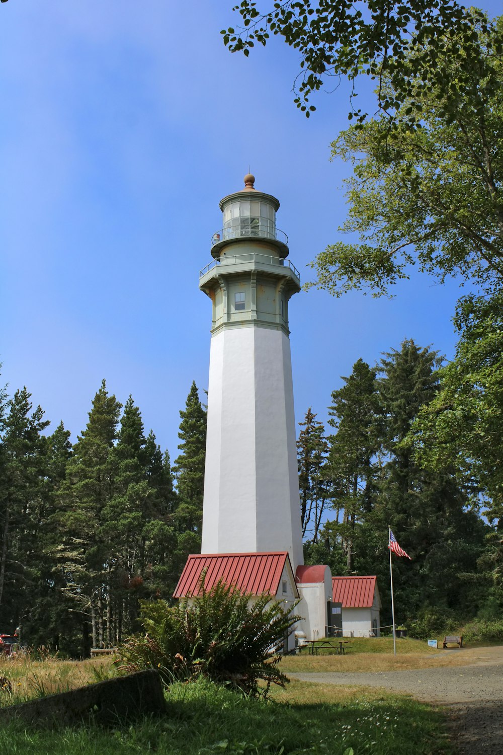 a white and red light house surrounded by trees