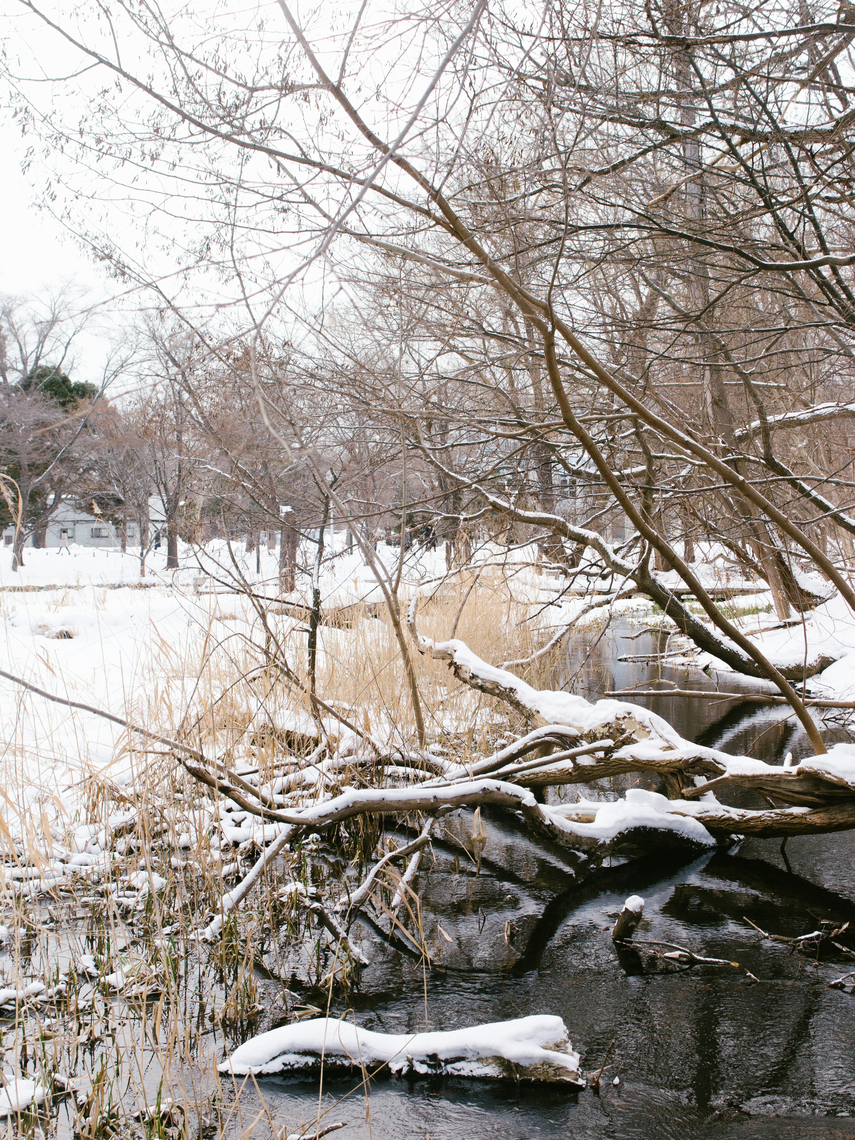 Photo by capillasn