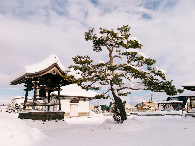 Winter Travel in Japan: Snow, Skiing, Hot Springs and Christmas Lights