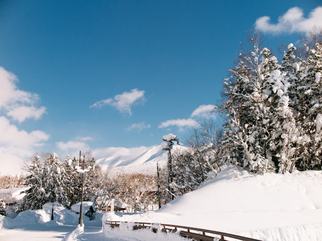 Luxury Winter Rail Journey: Japan & South Korea Itinerary