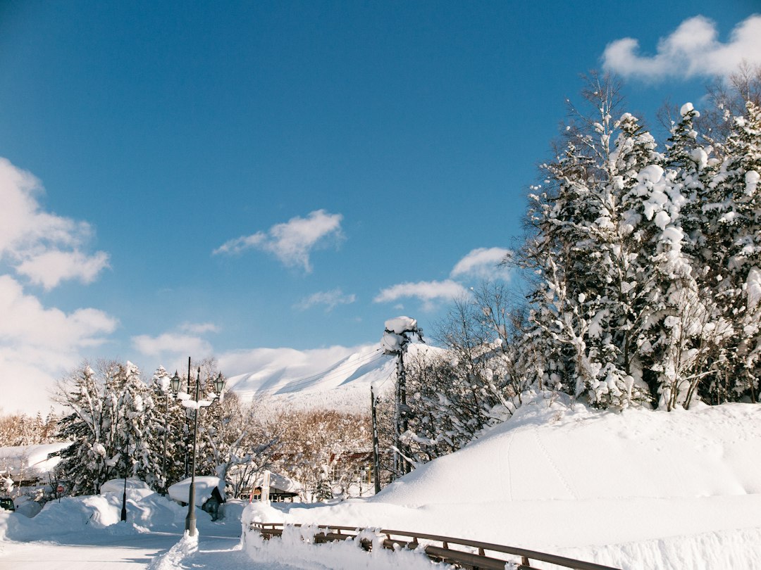 ひだ舟山スノーリゾートアルコピアスキー場くるみ, Hida Funayama Snow Resort Arkopia
