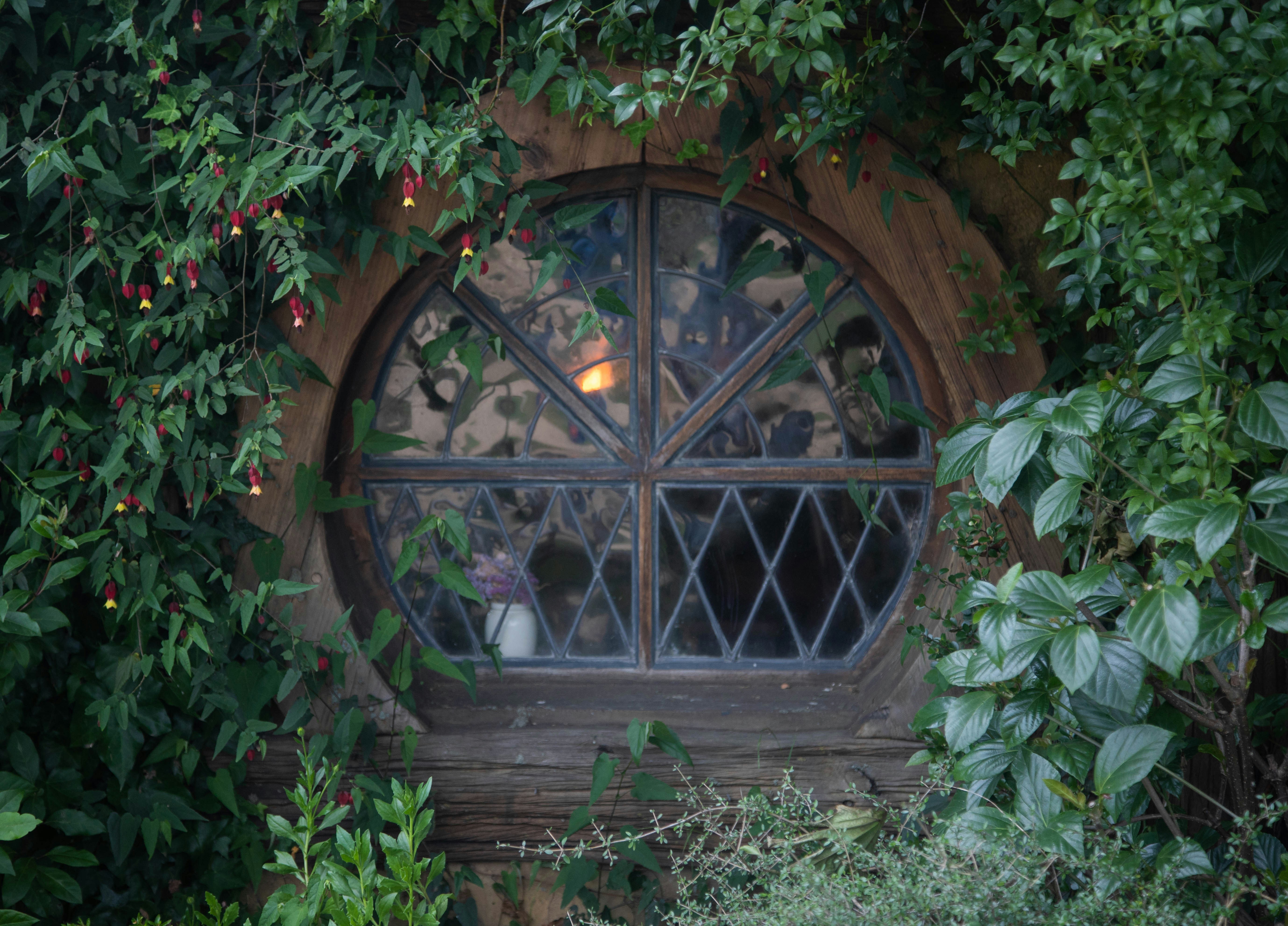 Photo by capturelight