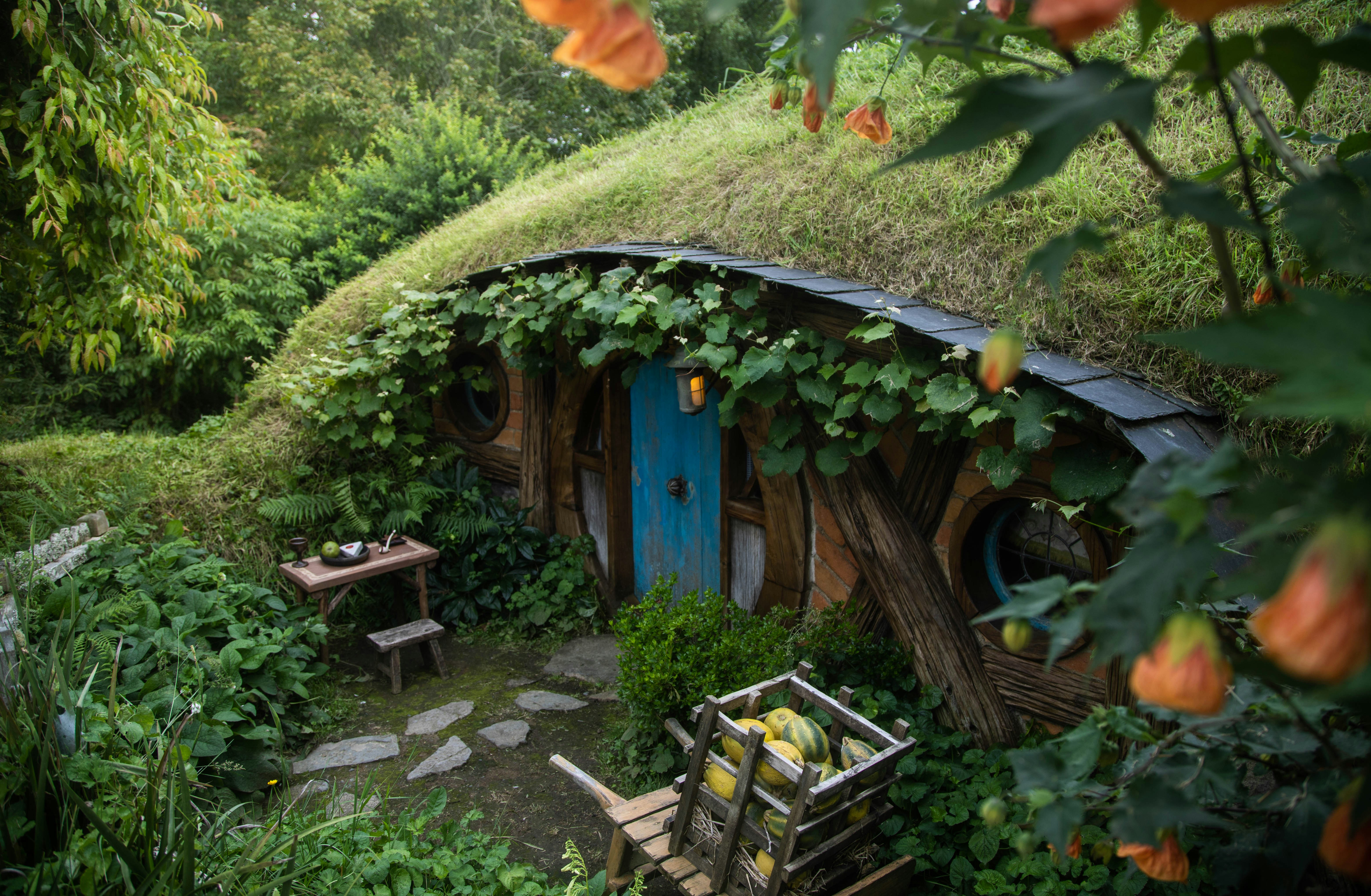 Photo by capturelight