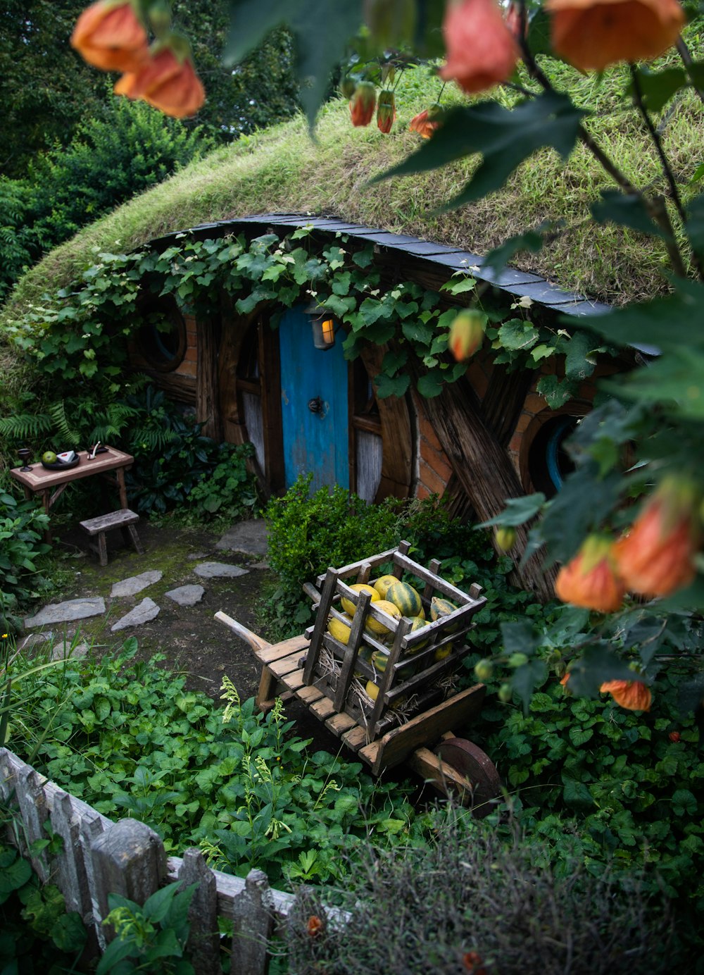 a small house with a green roof surrounded by greenery