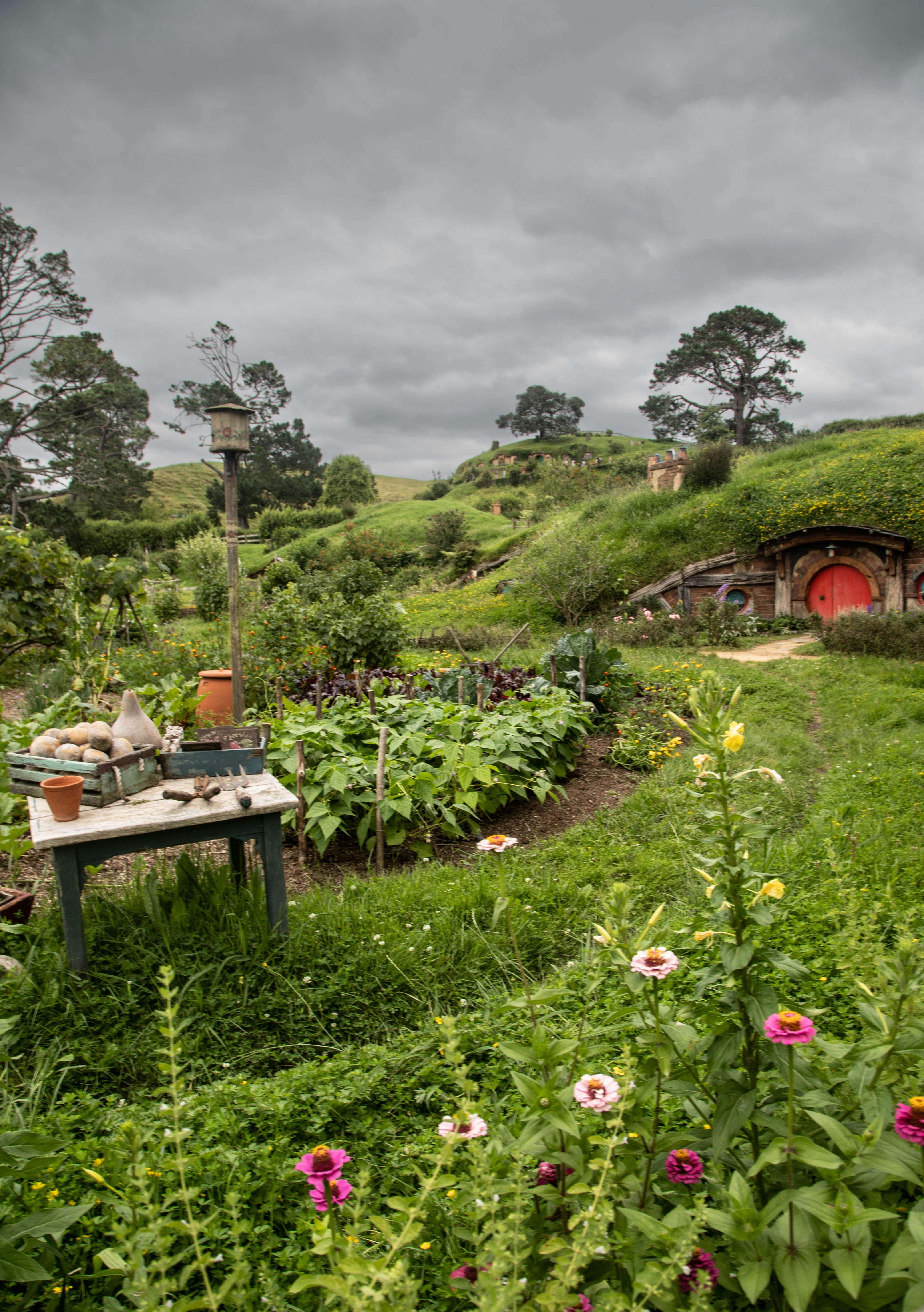 Photo by capturelight