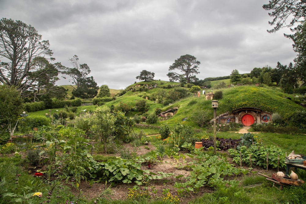 a lush green hillside with a red door