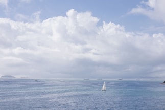 A serene image of a ship navigating through calm waters.