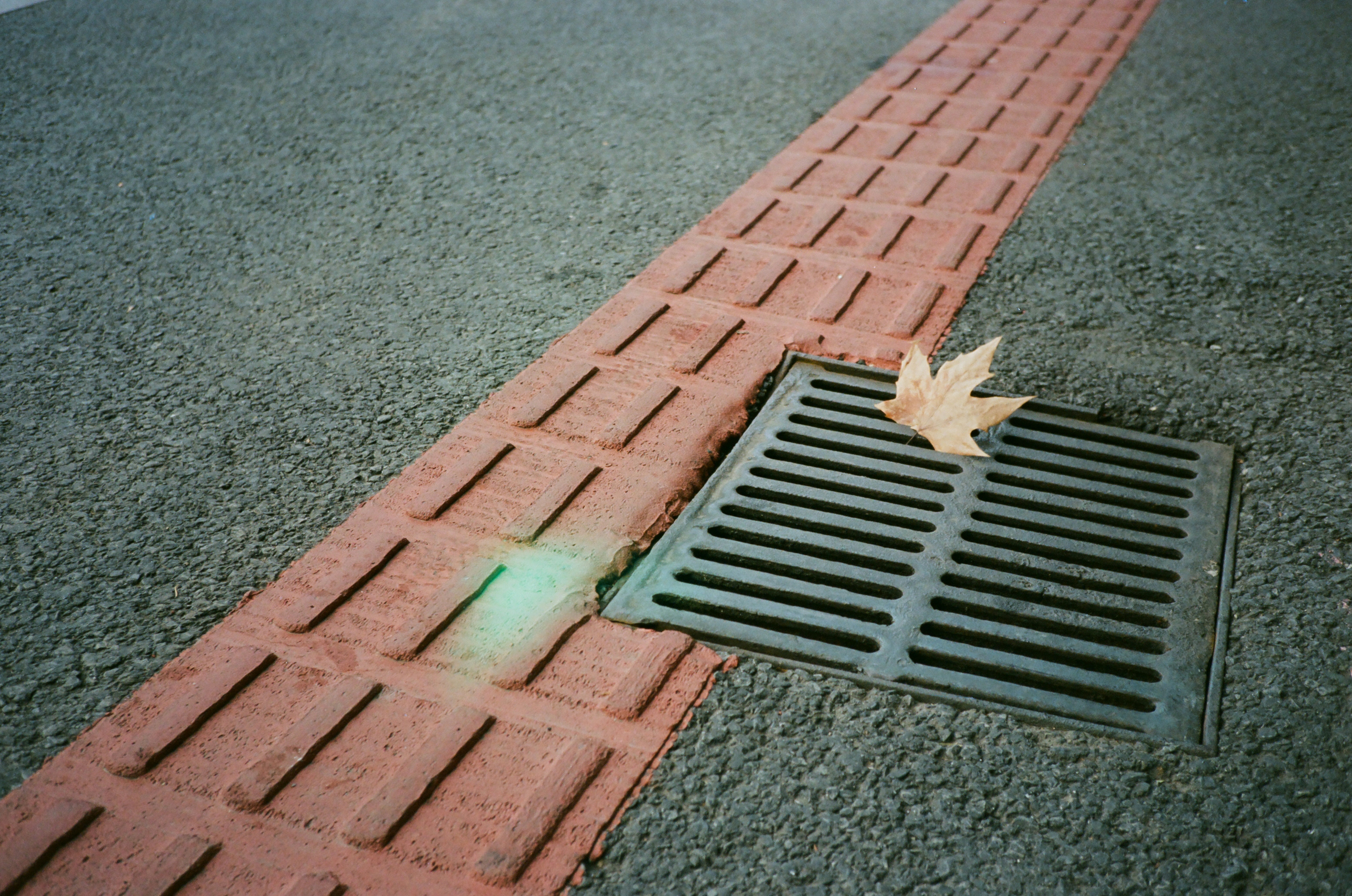 a leaf laying on the ground next to a grate
