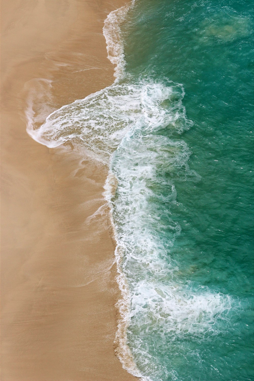 a bird flying over the ocean next to a sandy beach