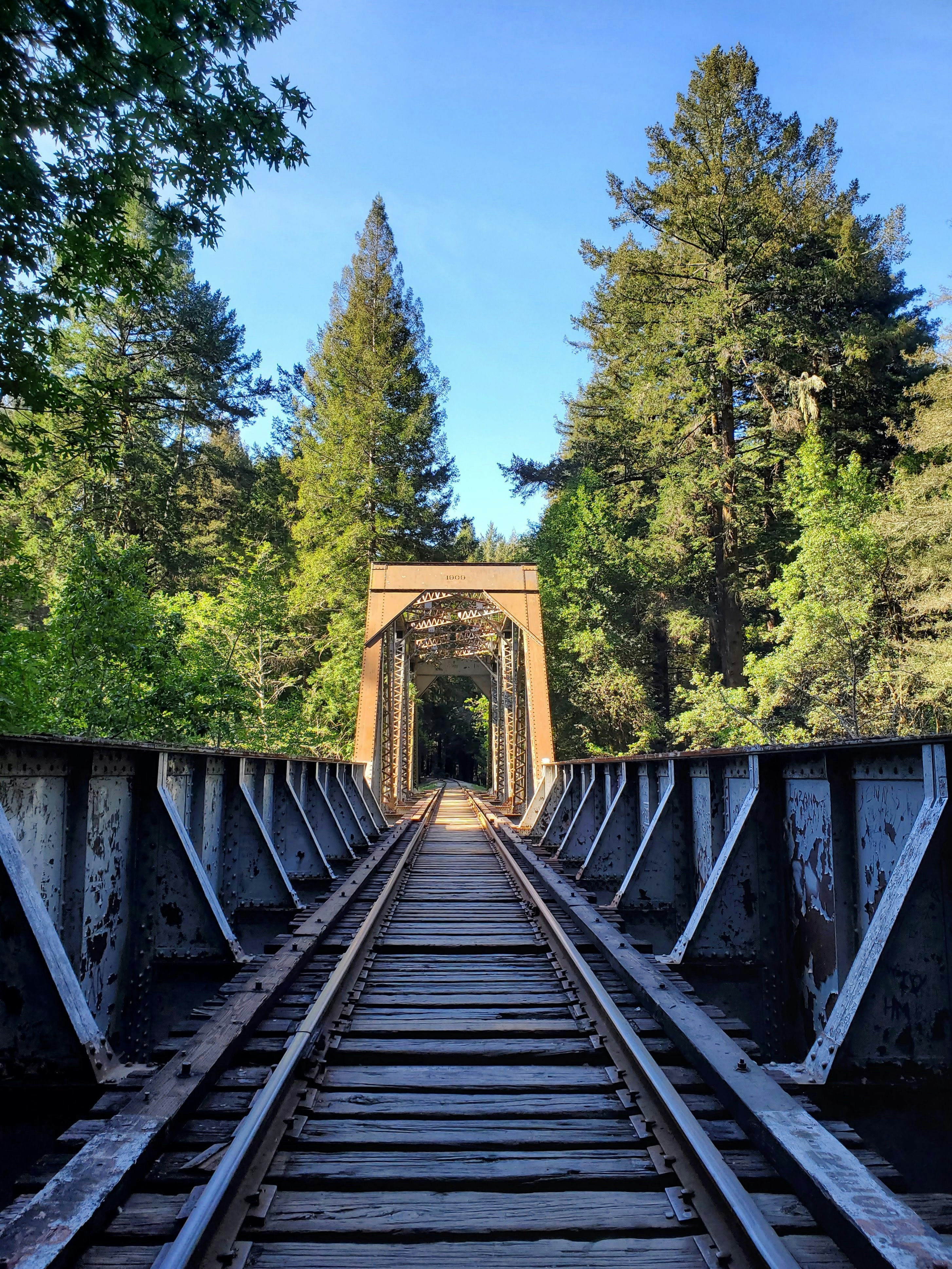 a train track going over a bridge in the woods