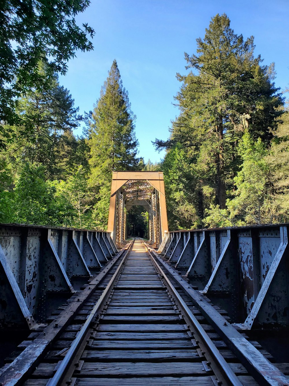 a train track going over a bridge in the woods